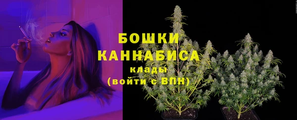 Альфа ПВП Заволжск