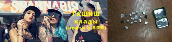 индика Заводоуковск