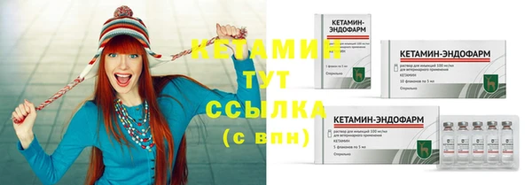 индика Заводоуковск