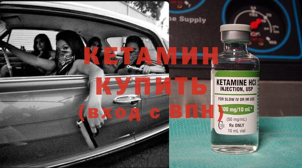 индика Заводоуковск