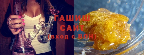 индика Заводоуковск