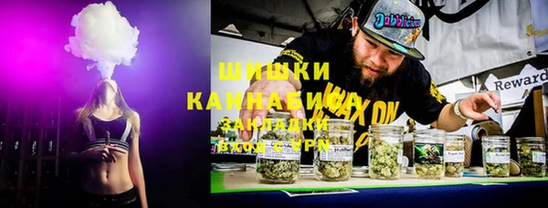 индика Заводоуковск