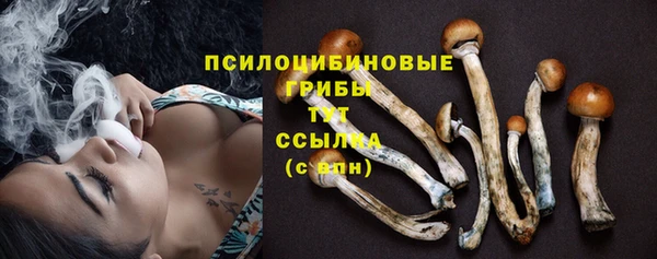 Альфа ПВП Заволжск
