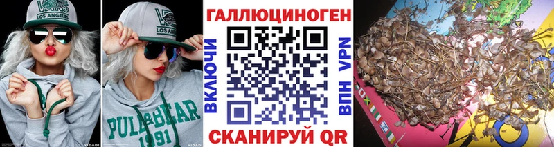 Купить где  Мариинский Посад  Псилоцибиновые грибы Magic Shrooms 
